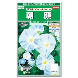 西洋朝顔の種の商品一覧 通販 Yahoo ショッピング