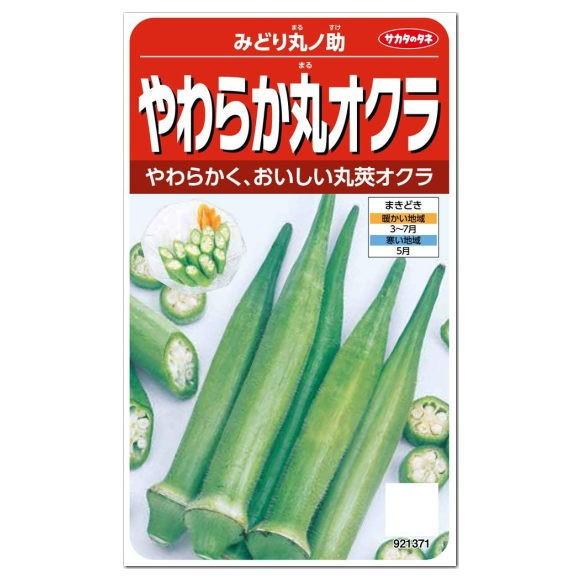 サカタのタネ やわらか丸オクラ みどり丸ノ助  種  家庭菜園 プランター栽培 おくらのタネ たね ...