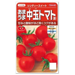 サカタのタネ あまうま中玉トマト 赤 シンディースイート 種 メール便対応 家庭菜園 健康野菜 とまと スーパーセール期間限定 夏野菜 トマトのタネ たね 種子