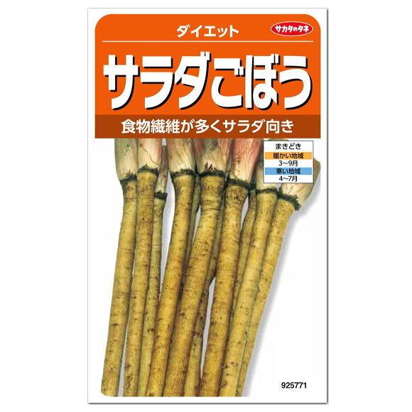 サカタのタネ サラダごぼう ダイエット 種  家庭菜園  ゴボウのタネ 短根種  野菜 たね 種子 ...