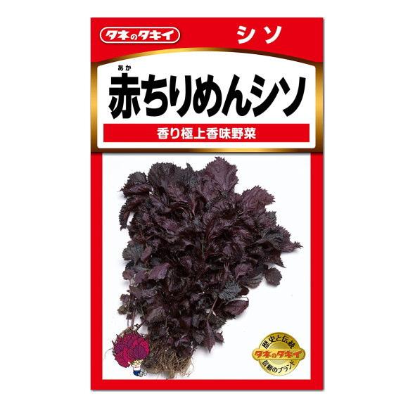 タキイ 赤ちりめんシソ 種  家庭菜園 紫蘇 シソ タネ たね 種子 赤じそ 香味野菜 緑黄色野菜 ...