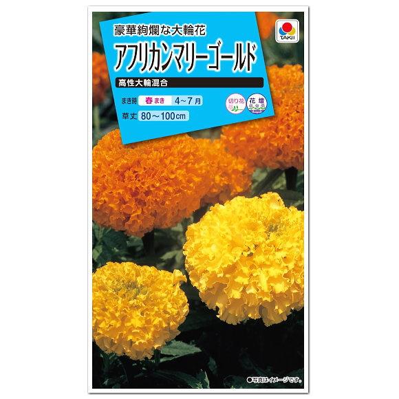 タキイ アフリカンマリーゴールド 高性大輪 混合 FMN110 種 種子 花 植物 タネ たね 花壇...