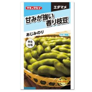 タキイ 枝豆 あじみのり 種 AED157 家庭菜園 プランター栽培 簡単 枝豆のタネ 野菜 たね 種子 エダマメ えだまめ