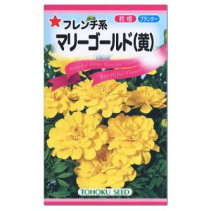 トーホク フレンチ系 マリーゴールド 黄 種花壇 プランター 寄せ植え 草花 たね コンパニオンプランツ ガーデニング