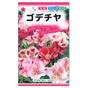 トーホク ゴデチヤ 種 花壇 プランター 切花 たね 種子 タネ ガーデニング ごでちや ゴデチャ イロマツヨイグサ