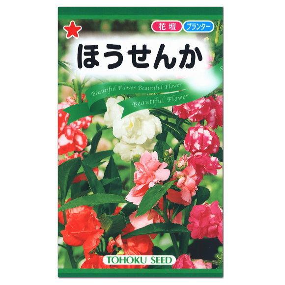 トーホク ほうせんか 種 花壇 プランター たね 種子タネ かわいい ガーデニング メール便対応