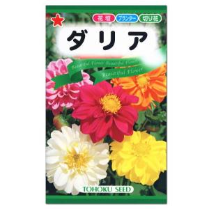 トーホク ダリア 種 花壇 プランター 切花 たね ガーデニング メール便対応 Springboardmarketing Com
