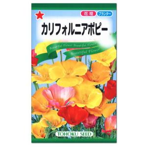 トーホク カリフォルニアポピー 種 一年草 花壇 プランター 切花 たね ガーデニング ぐびじんそう 虞美人草 メール便対応