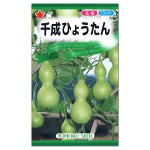 トーホク 千成ひょうたん 種  瓢箪 ヒョウタン たね タネ 種子 かわいい 金運財運 園芸 鑑賞 ガーデニング メール便対応