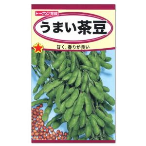 トーホク うまい茶豆 種 枝豆 生産地 北海道 えだまめ 家庭菜園 プランター栽培 エダマメの