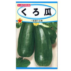 トーホク くろ瓜 種 家庭菜園 ウリのタネ メール便対応 夏野菜 モデル たね 種子 まくわうり