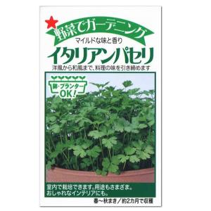 トーホク ハーブ イタリアンパセリ 種 多年草 メール便対応 家庭菜園 料理用 タネ たね 種子