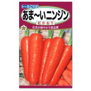 トーホク  あま〜いニンジン 紅かおり  種  家庭菜園 健康野菜 人参 キャロット 西洋種 にんじんのタネ 野菜 たね メール便対応