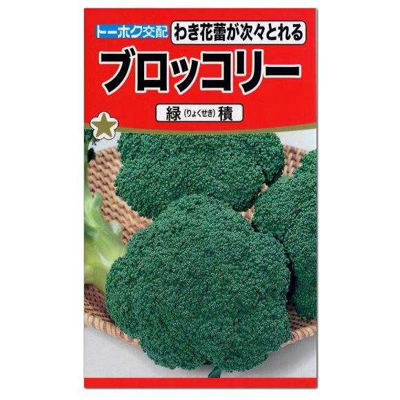 トーホク  ブロッコリー 緑積 りょくせき 種 家庭菜園 ブロッコリーのタネ 健康野菜 たね 種子 ...