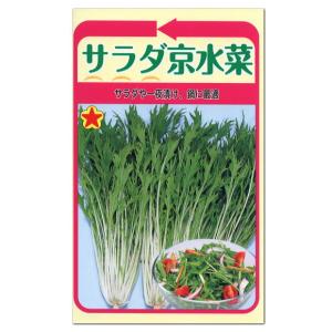 トーホク サラダ京水菜 種 家庭菜園 プランター栽培 京菜 ツケナ 漬け菜 みずな ミズナのタネ