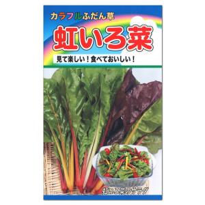 トーホク カラフルふだん草 虹いろ菜 生産地 岩手県 種 家庭菜園たね 種子 野菜 プランター 栽培 スイスチャード 種子 タネ