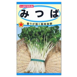 トーホク みつば 種 家庭菜園 プランター栽培 三つ葉 ミツバのタネ たね 種子 メール便対応