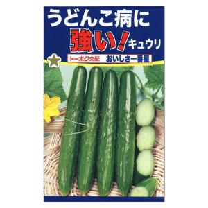 トーホク おいしさ一番星 きゅうり 種 枝成型 家庭菜園