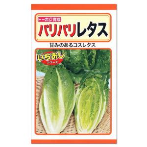 トーホク パリパリレタス ロメインレタス 種 家庭菜園 葉菜類 れたす タネ 野菜 たね 最安値 価格比較 Yahoo ショッピング 口コミ 評判からも探せる