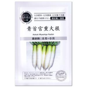 青首宮重大根 有機種子 固定種 A260 グリー...の商品画像