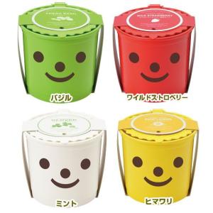 かわいいスマイルポットで育てる栽培キット スマイル 選べる４種類 インテリアグリーン おしゃれ 激安通販専門店 栽培 野菜 ガーデニング かわいい 家庭菜園