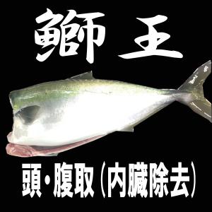 ブランド養殖ぶり　鰤王　丸魚（ラウンド)　頭・腹処理済｜saihoku-f