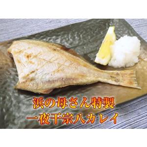 浜の母さん特製　一夜干宗八カレイ１枚（北海道産）