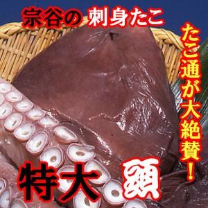 宗谷産　煮だこ頭　大１玉 (700g〜1kｇ)