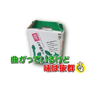 E-5 富良野産・美瑛町産 へそ曲がりグリーンアスパラ LMサイズ・約1.5kg入・1箱 産地直送｜saijo