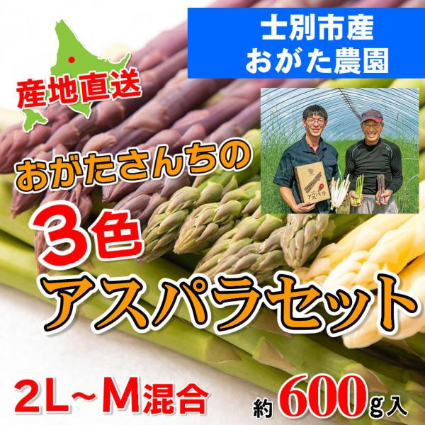 D-5 士別産：おがた農園 おがたさんちの3色アスパラセット 2L〜Mサイズ混合・約600g入・1箱...