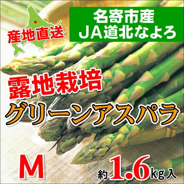 C-5 名寄市産：JA道北なよろ 露地栽培グリーンアスパラ Mサイズ・約1.6kg入・1箱 北海道産...