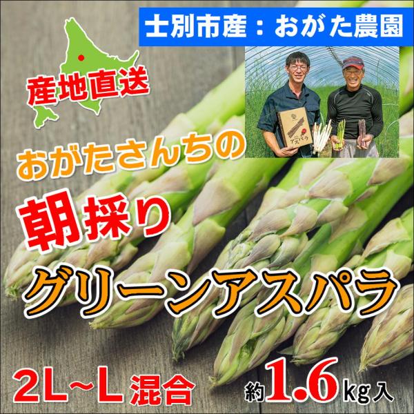 D-2 士別産：おがた農園 おがたさんちの朝採りグリーンアスパラ 2L〜Lサイズ混合・約1.6kg入...