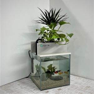 代引き手数料無料 せせらぎ室内ビオトープ 25型 15ｌ 基本水槽セット 金魚や熱帯魚の水槽にピッタリ 観葉植物が水をキレイにします Talentoincluir Com Br