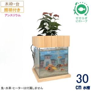 送料無料 せせらぎ室内ビオトープ 30型 27ｌ 基本 照明 木製枠台水槽セット 金魚の水槽にピッタリ インテリアにも最適 30 Ksw 西条庭園 通販 Yahoo ショッピング