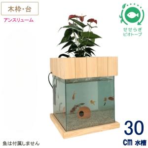 送料無料】30cm型 基本セット(グレー)＋照明あり / [TVで紹介]水換え