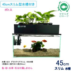 ミナミヌマエビとせせらぎビオトープ水槽