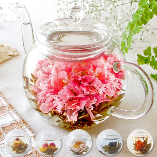 工芸茶 アソート6個 ギフト缶入 白茶 ホワイトティー 花咲くお茶 こうげいちゃ カーネーション ジ...