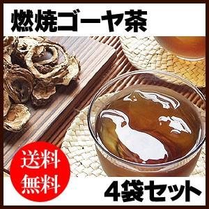 美容健康茶【燃焼ゴーヤ茶】×4個　苦瓜 ゴーヤー茶　健康茶 ティーパック 粉砕 粉末 焙煎