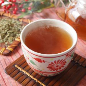 ギムネマ濃黒烏龍茶30包 ギムネマ茶 ギムネマシルベスタ 烏龍茶 ウーロン茶 黒烏龍茶 彩香 通販 Yahoo ショッピング