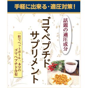 ゴマペプチドサプリメント60粒 ごま麦茶 ゴマ...の詳細画像1