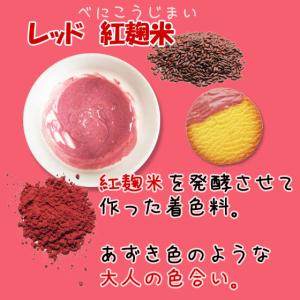 ナチュラルカラーパウダー100g 単色 大容量...の詳細画像2