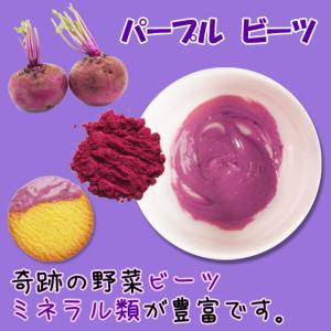 ナチュラルカラーパウダー100g 単色 大容量...の詳細画像3