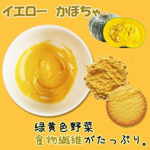 ナチュラルカラーパウダー100g 単色 大容量...の詳細画像4