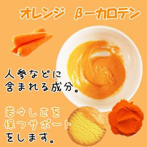 ナチュラルカラーパウダー100g 単色 大容量...の詳細画像5