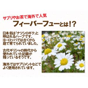 フィーバーフュー お天気ずきんのハーブティー3...の詳細画像1