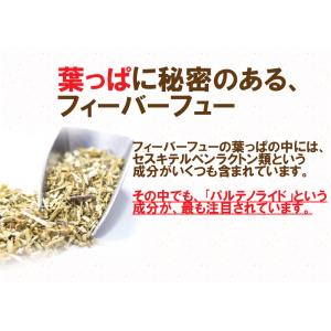 フィーバーフュー お天気ずきんのハーブティー3...の詳細画像2