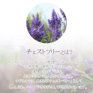 チェストツリー ティー30包 ティーバッグの詳細画像2