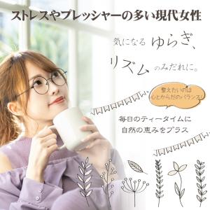 チェストツリー ティー30包 ティーバッグの詳細画像3