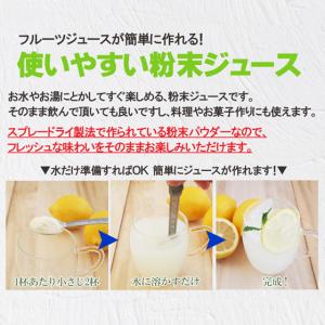 選べるジュースパウダー レモン バナナ ライム...の詳細画像1