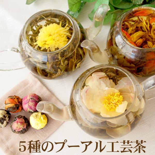 5種のプーアル工芸茶(菊・ジャスミン・ユリ・牡丹・バラ) 工芸茶 龍珠 5種類入り ネコポス 送料無...